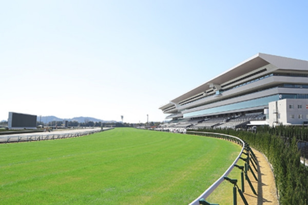 京都競馬場